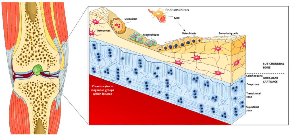 Lesson image