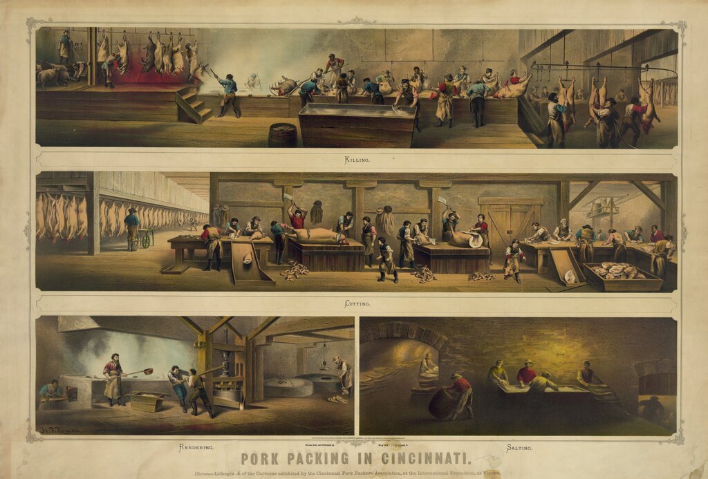 Lesson image