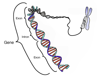 Lesson image