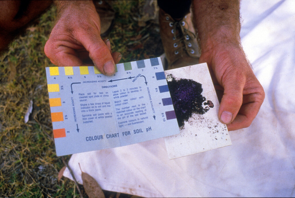 Lesson image