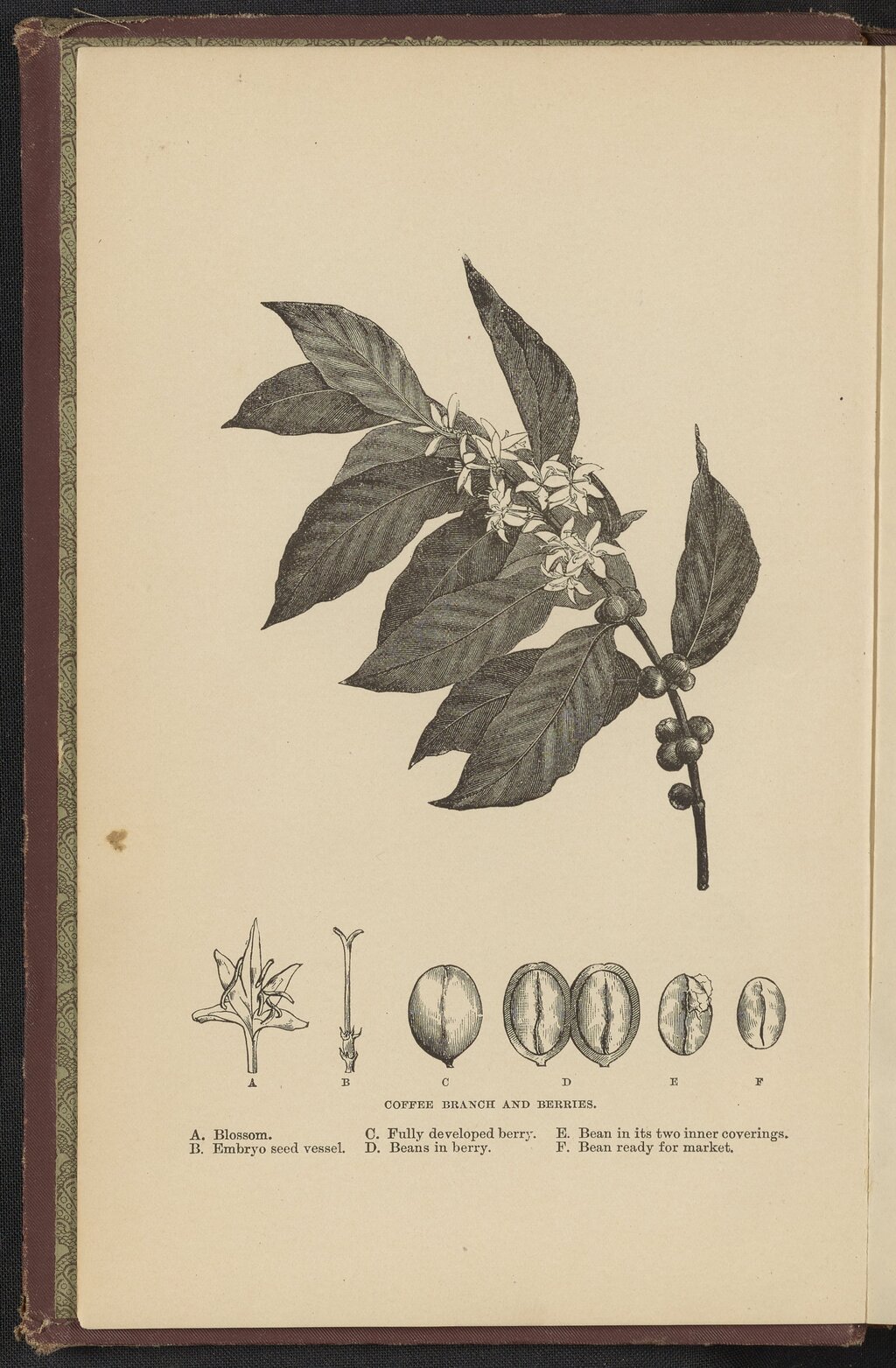 Lesson image
