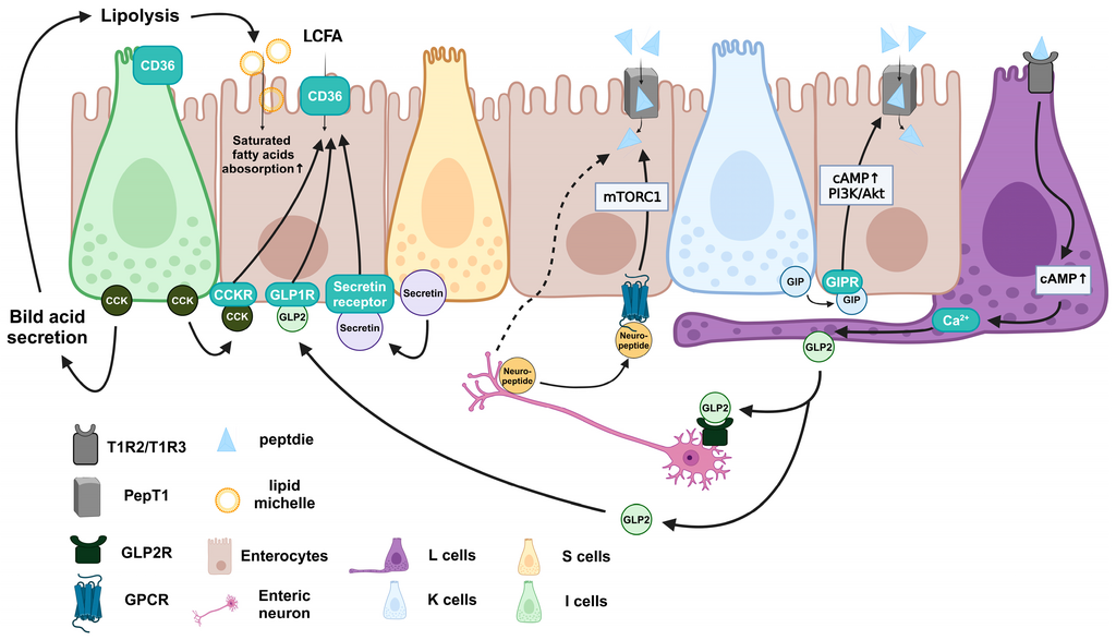 Lesson image