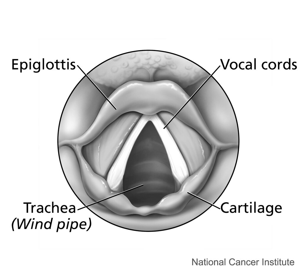 Lesson image