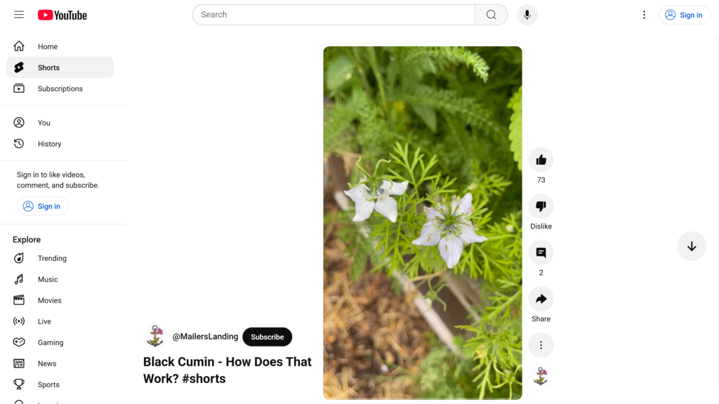 Lesson image