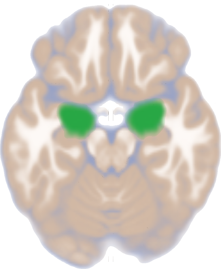 Lesson image