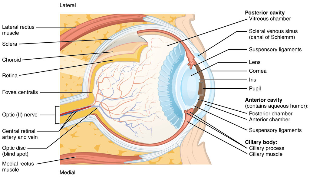 Lesson image