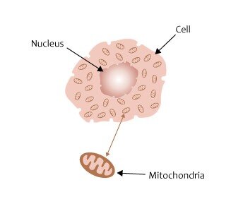 Lesson image