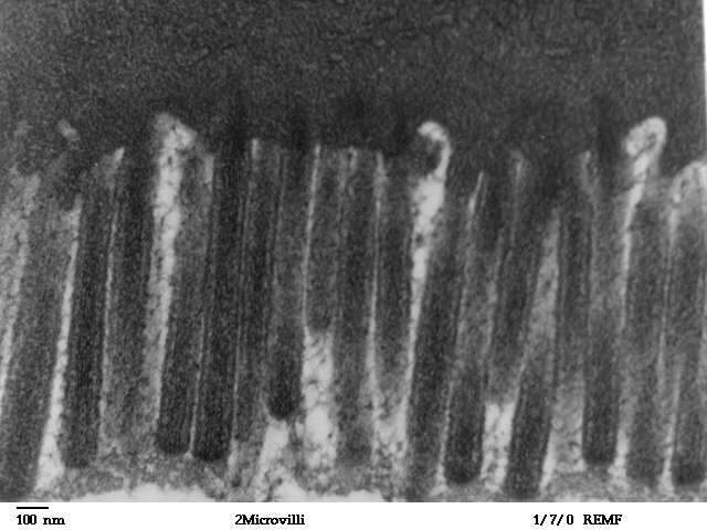 Lesson image