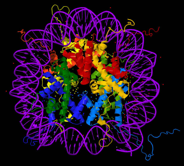 Lesson image