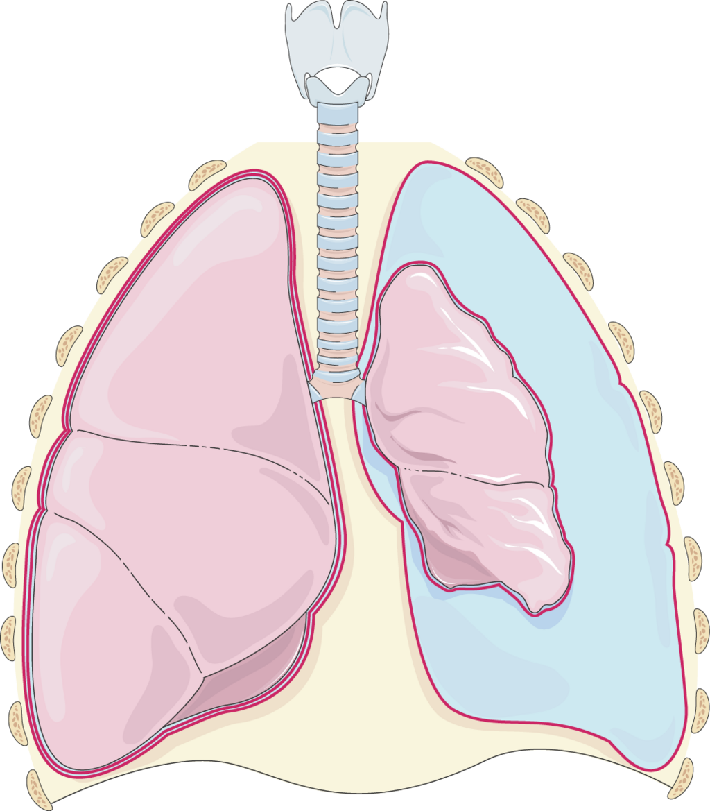 Lesson image