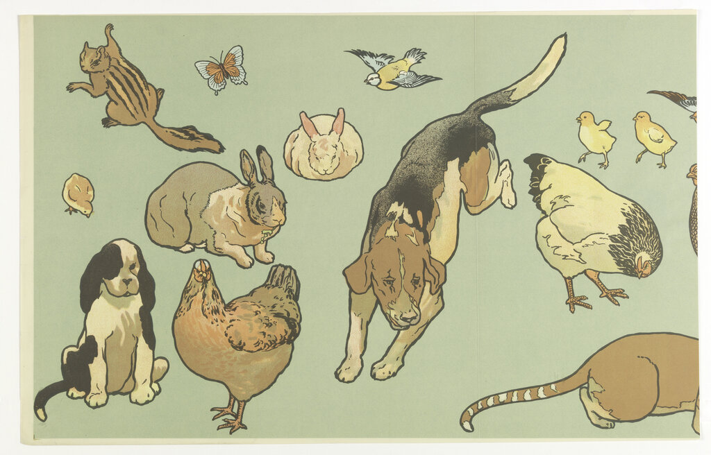 Lesson image