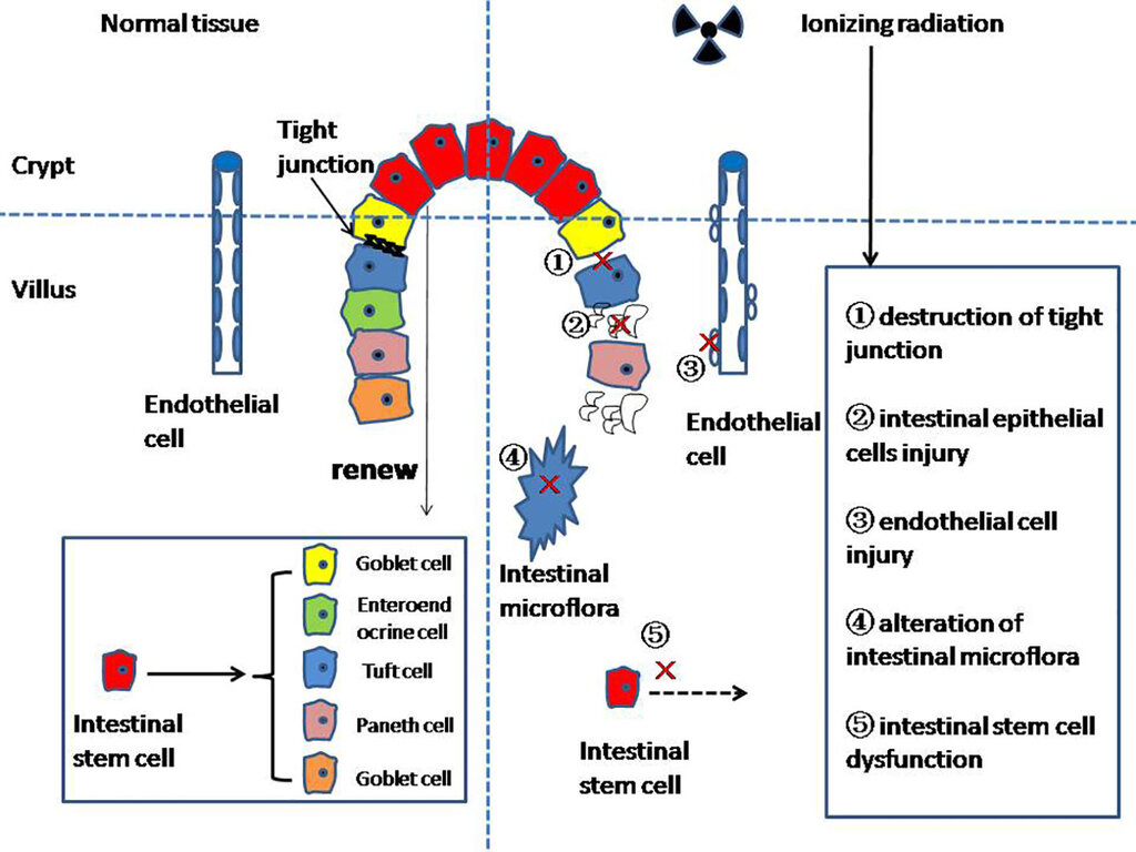 Lesson image