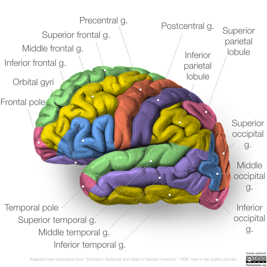Lesson image