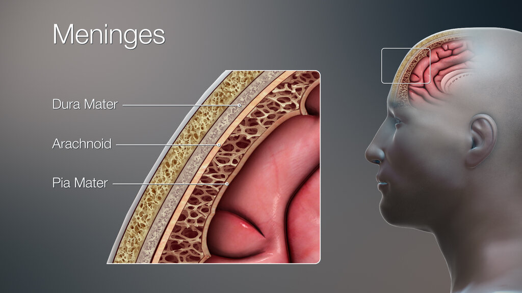 Lesson image
