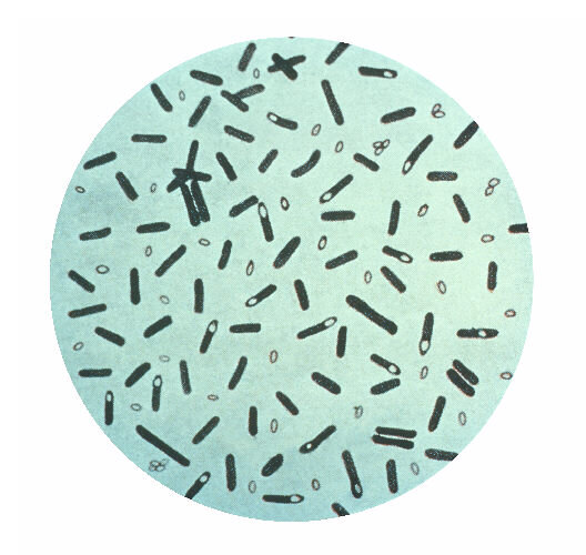 Lesson image