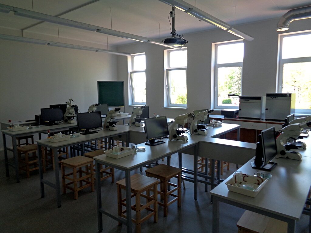 Lesson image