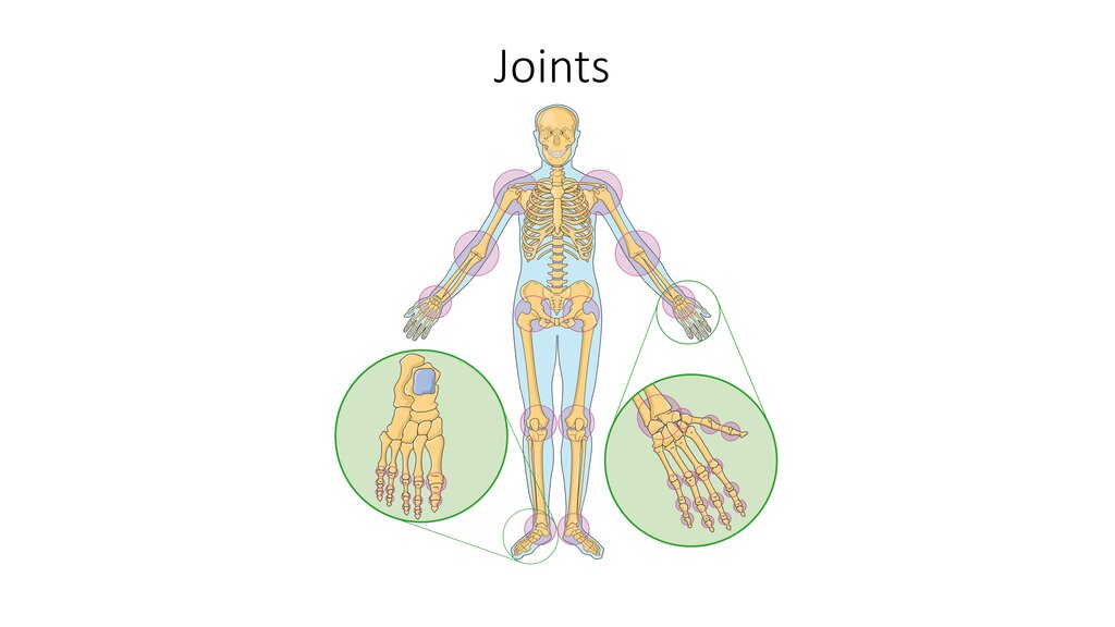 Lesson image