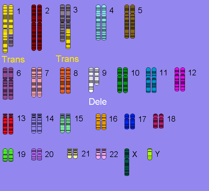 Lesson image