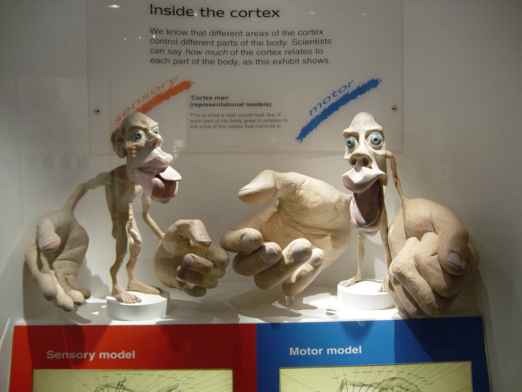 Lesson image