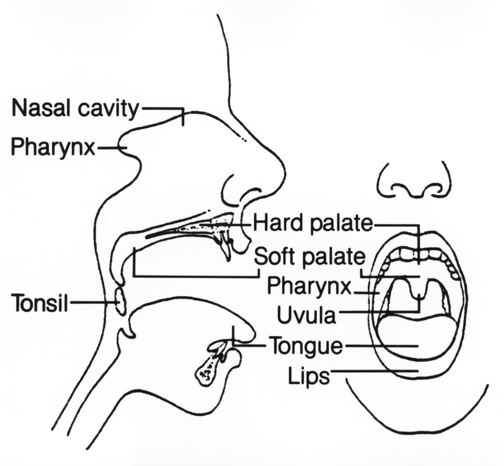 Lesson image