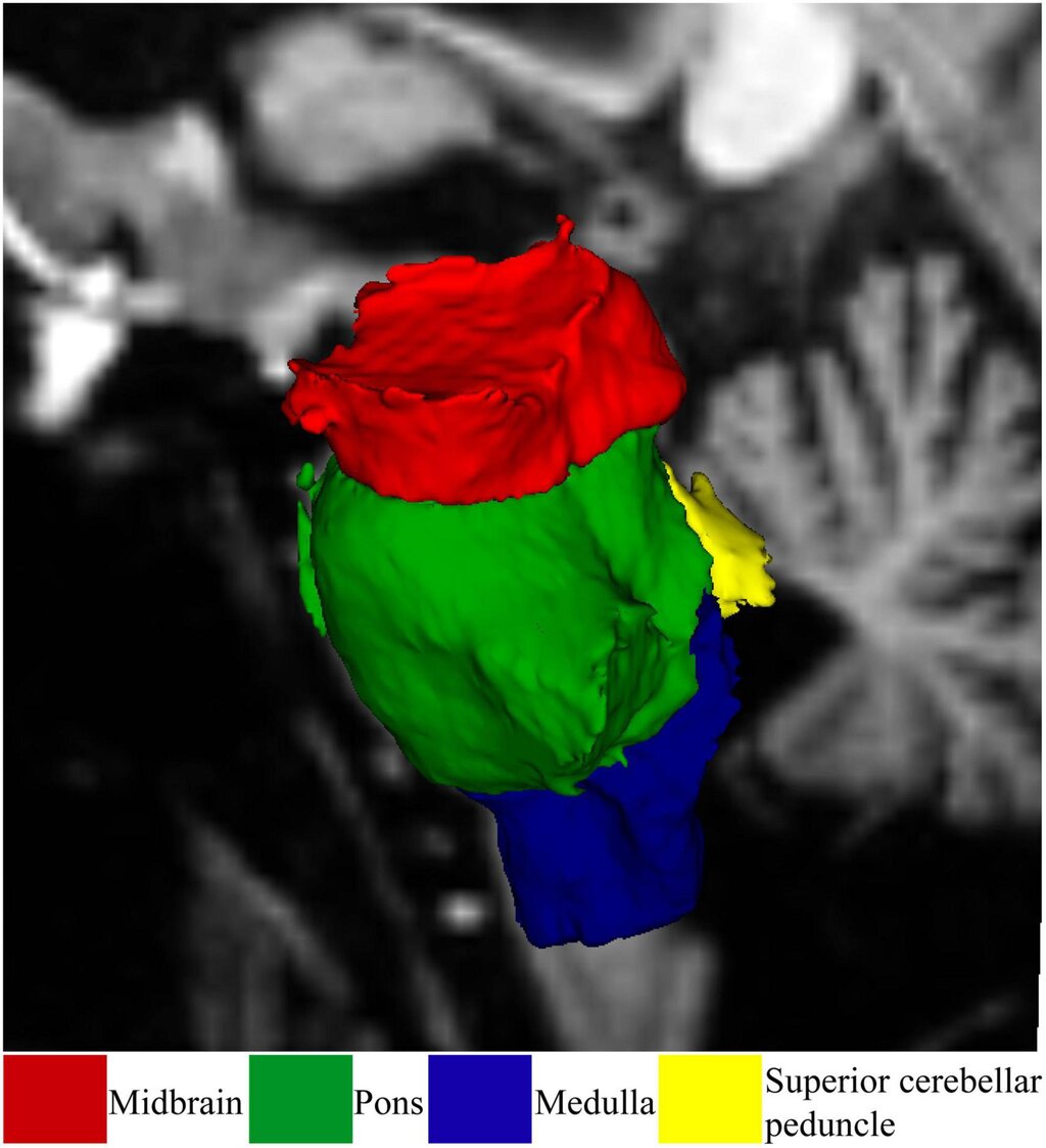 Lesson image