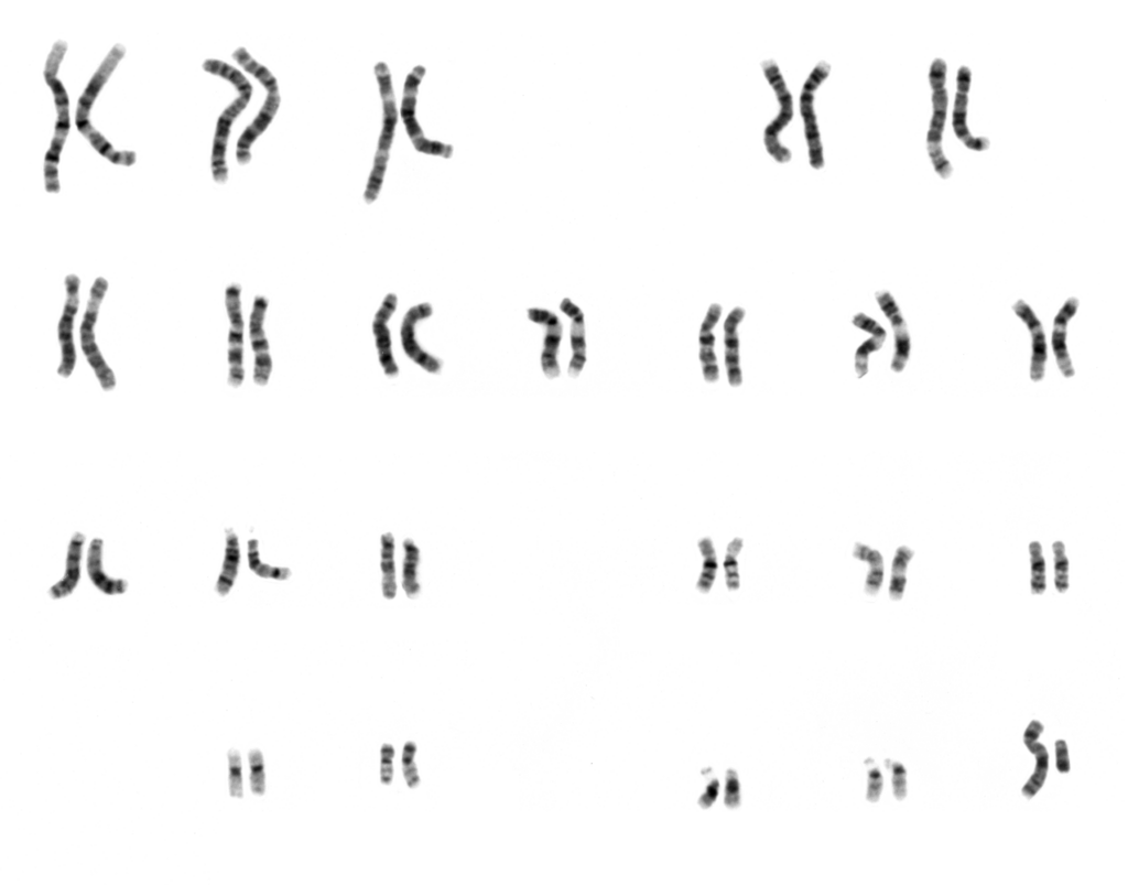 Lesson image