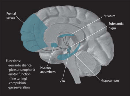 Lesson image