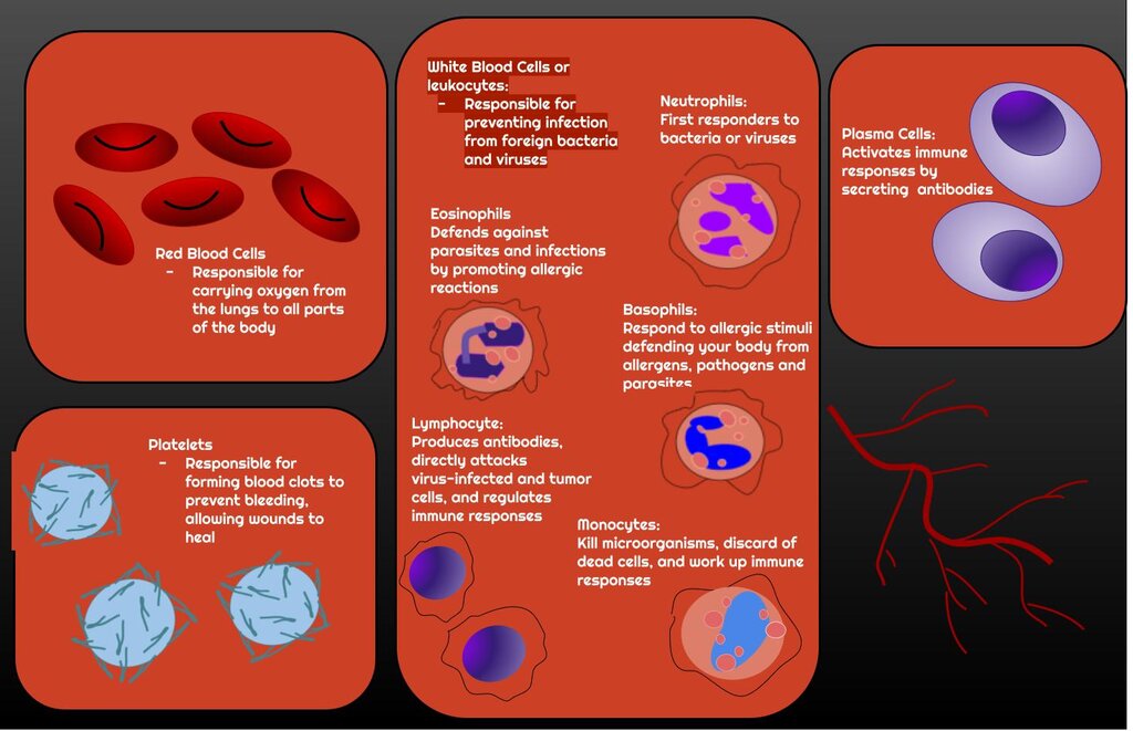 Lesson image