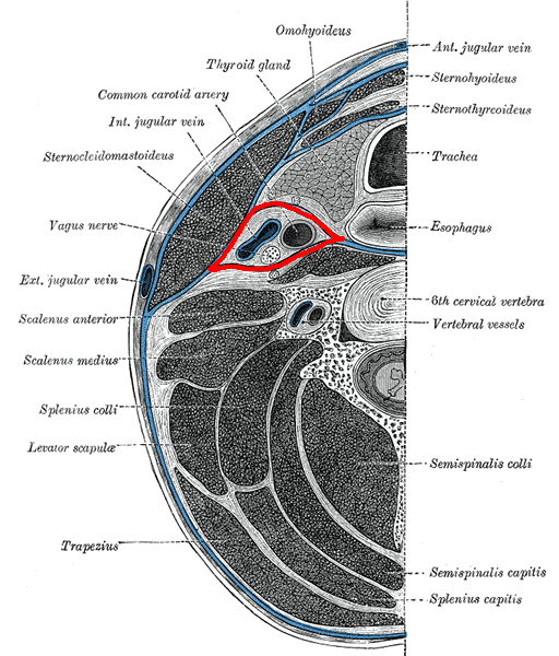 Lesson image