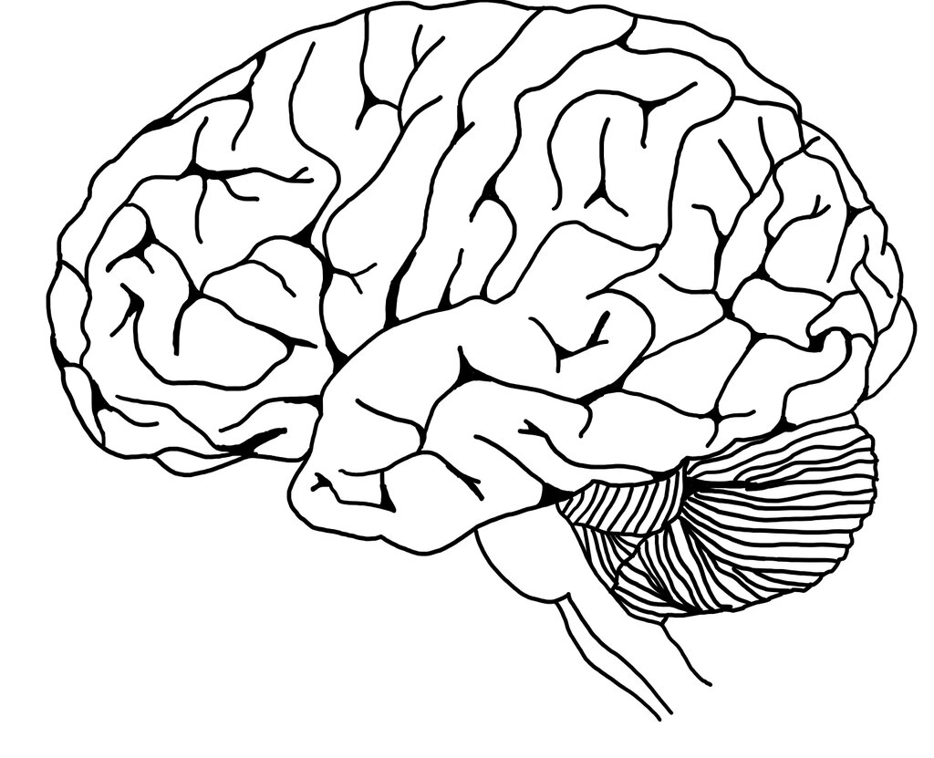 Lesson image