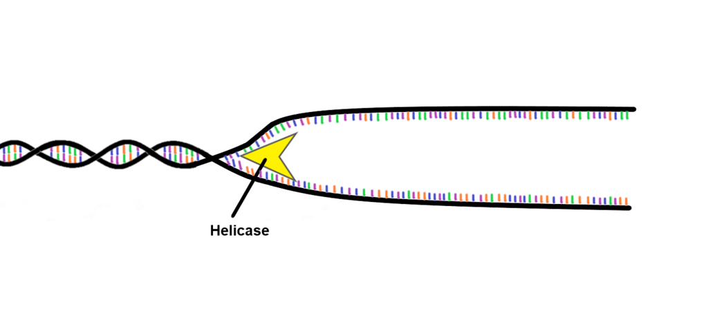 Lesson image