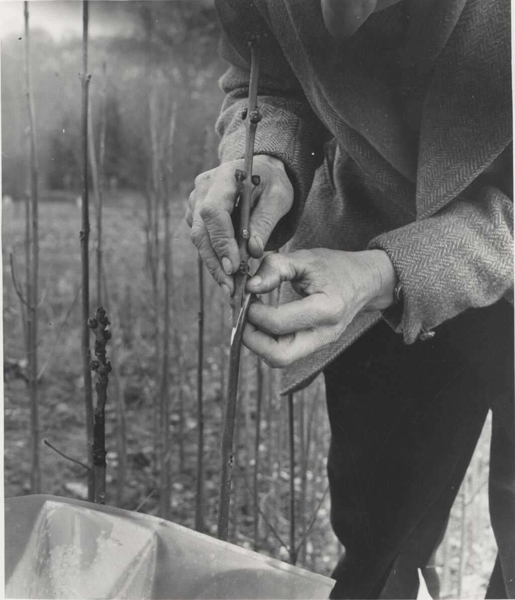 Lesson image
