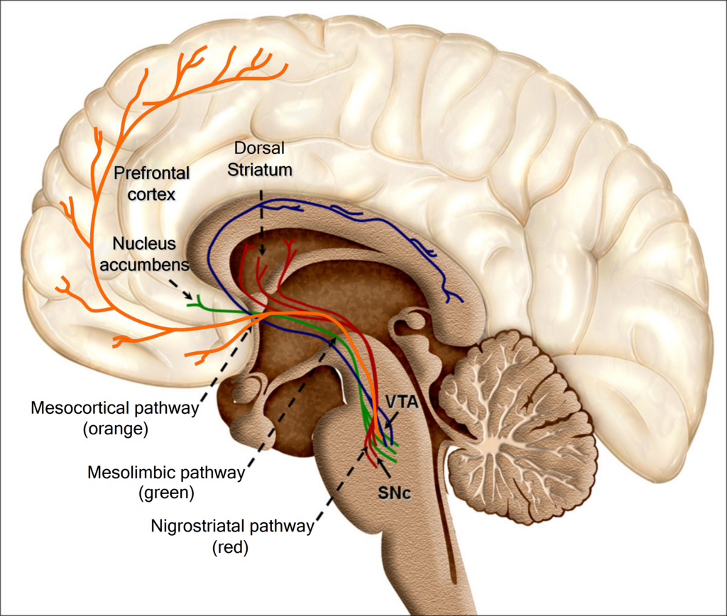 Lesson image