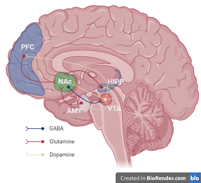 Lesson image