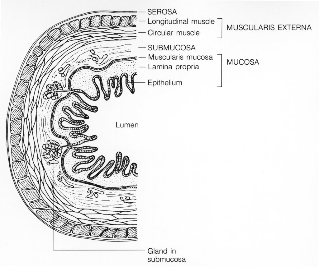 Lesson image