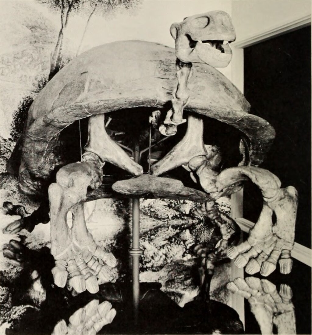 Lesson image