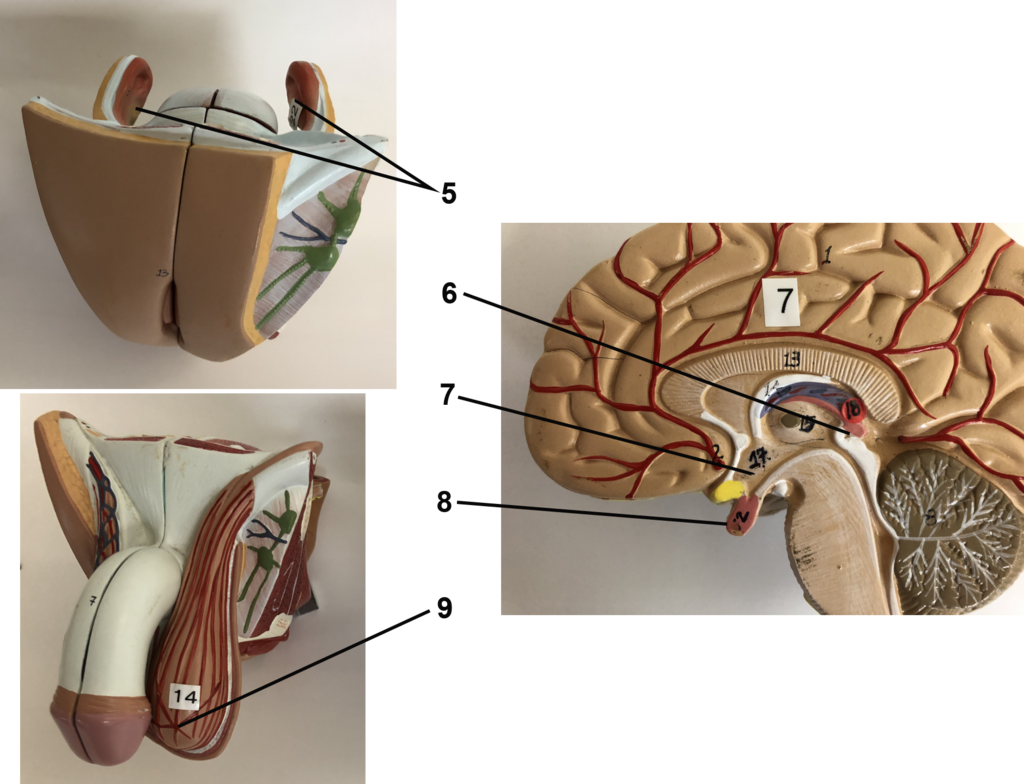 Lesson image