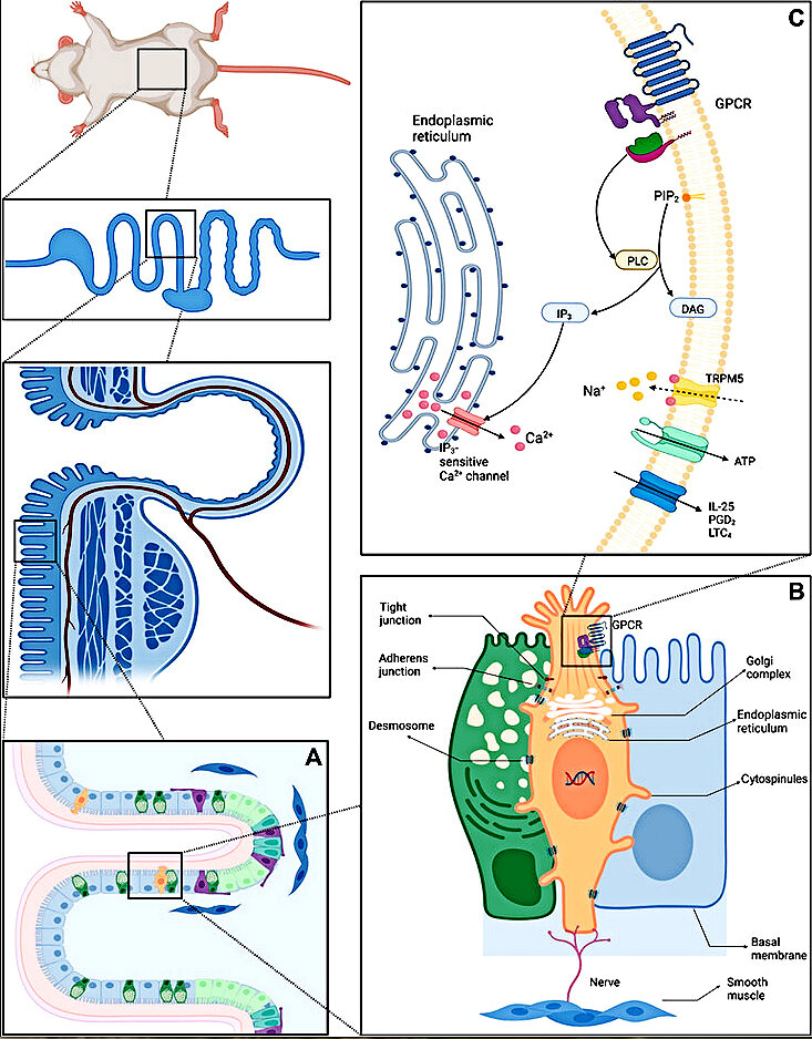 Lesson image