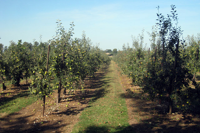 Lesson image