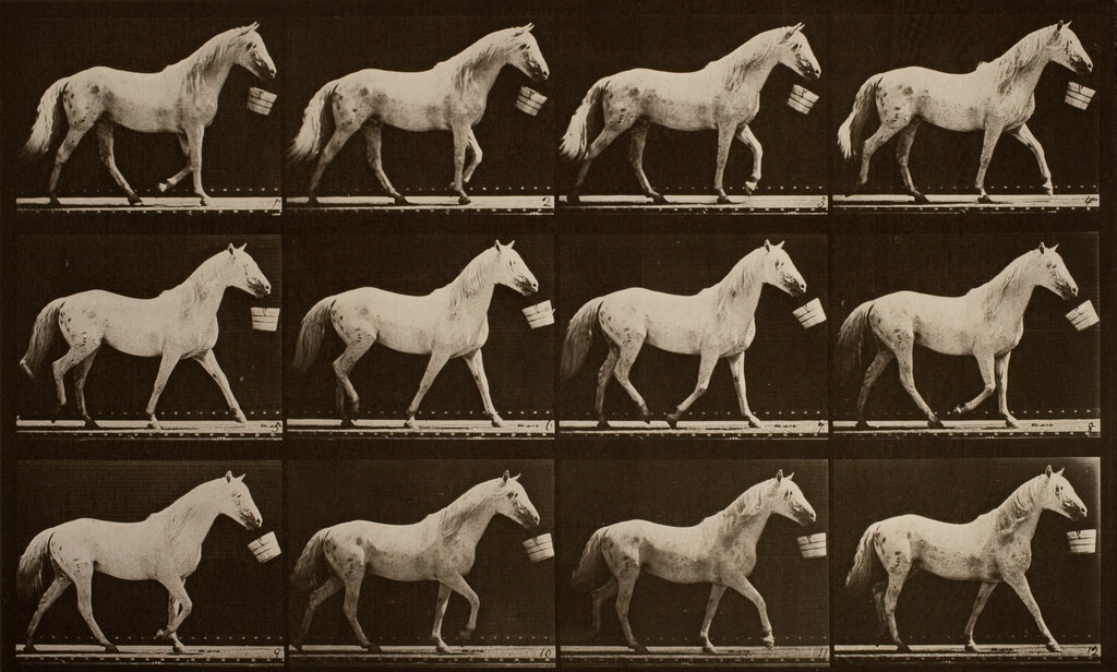 Lesson image