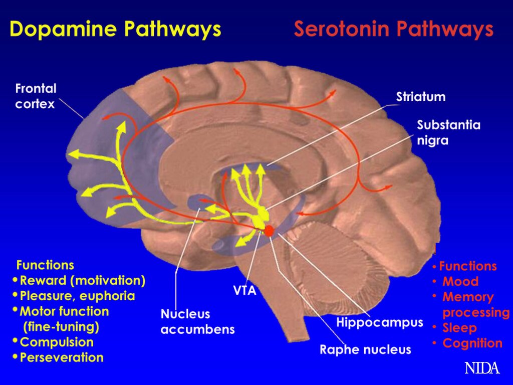 Lesson image