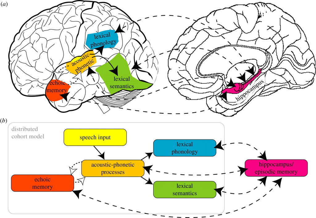 Lesson image
