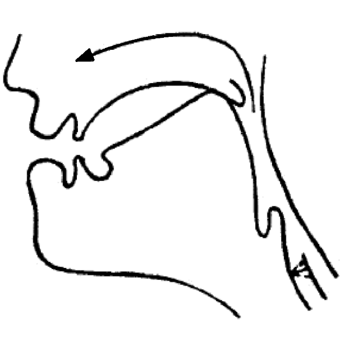 Lesson image