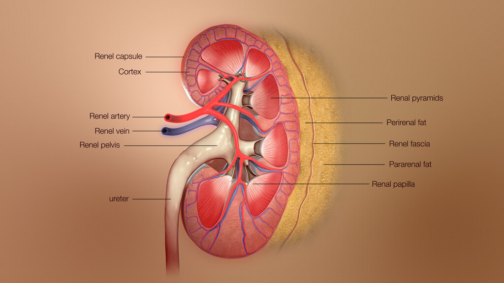 Lesson image