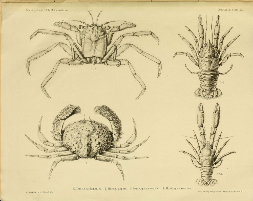 Lesson image