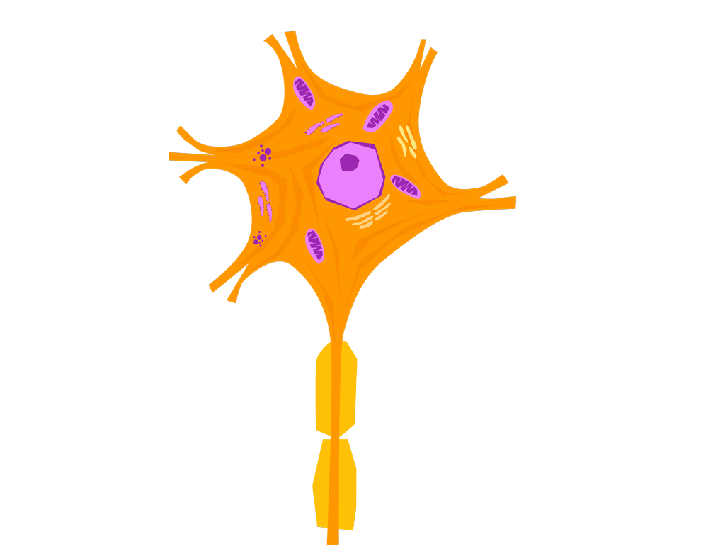 Lesson image