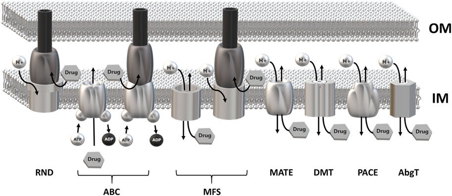 Lesson image