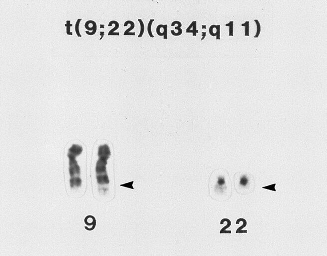 Lesson image
