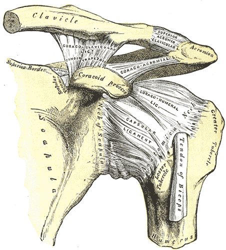 Lesson image
