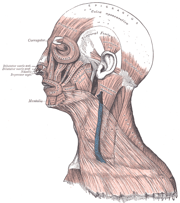 Lesson image